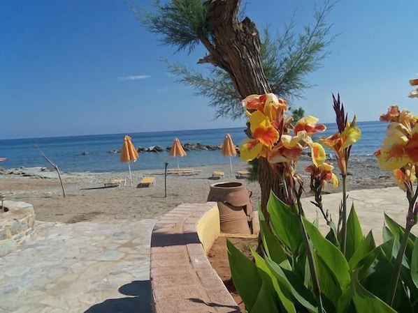 Eine Strandlage mit einem Kiesweg, Strandstühlen und tropischen Blumen.