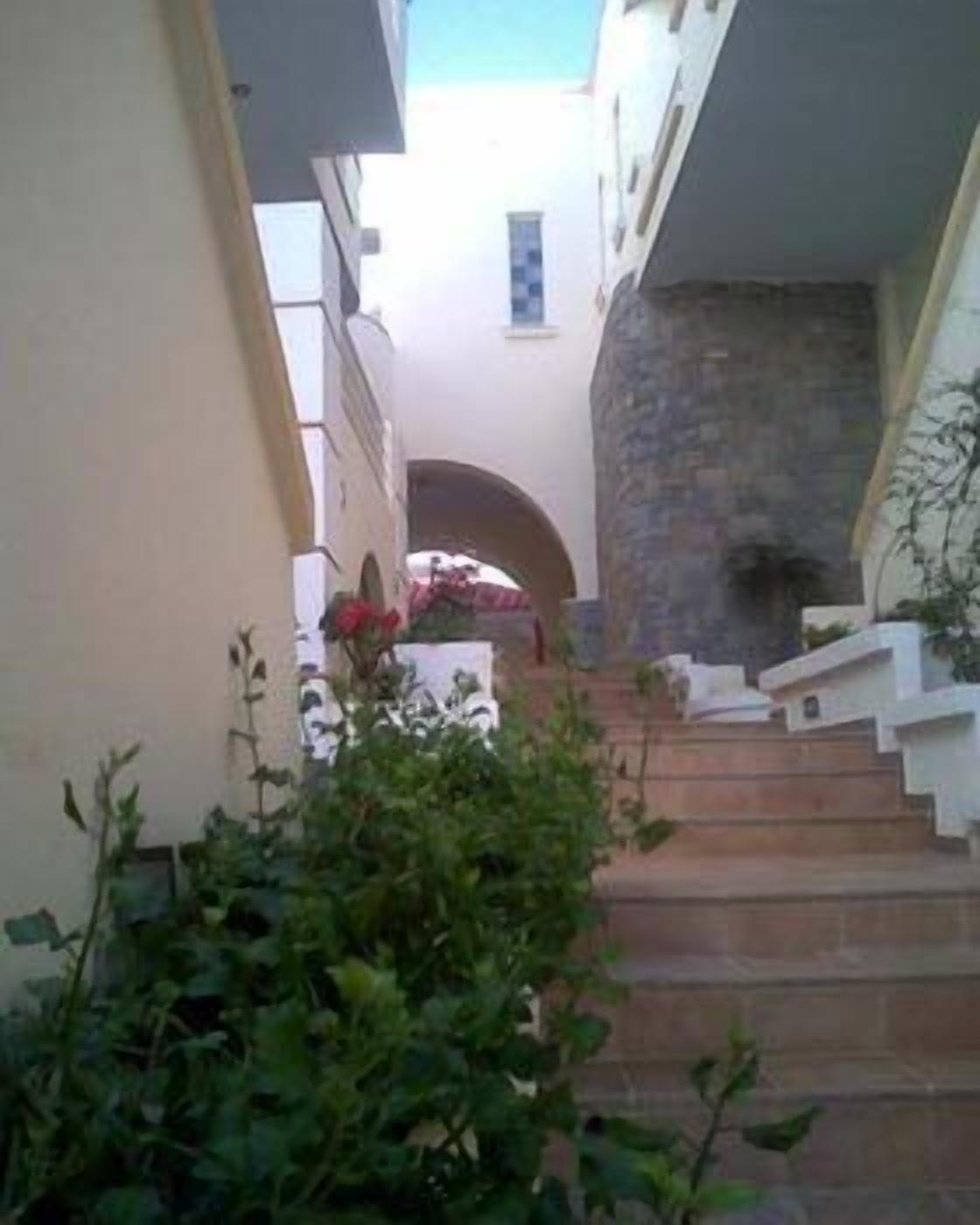 A narrow staircase leading to a building entrance, surrounded by greenery and a stone wall.