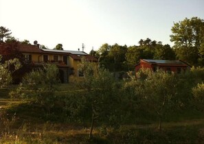 Una casa rural con techo rojo, rodeada de vegetación densa y árboles.