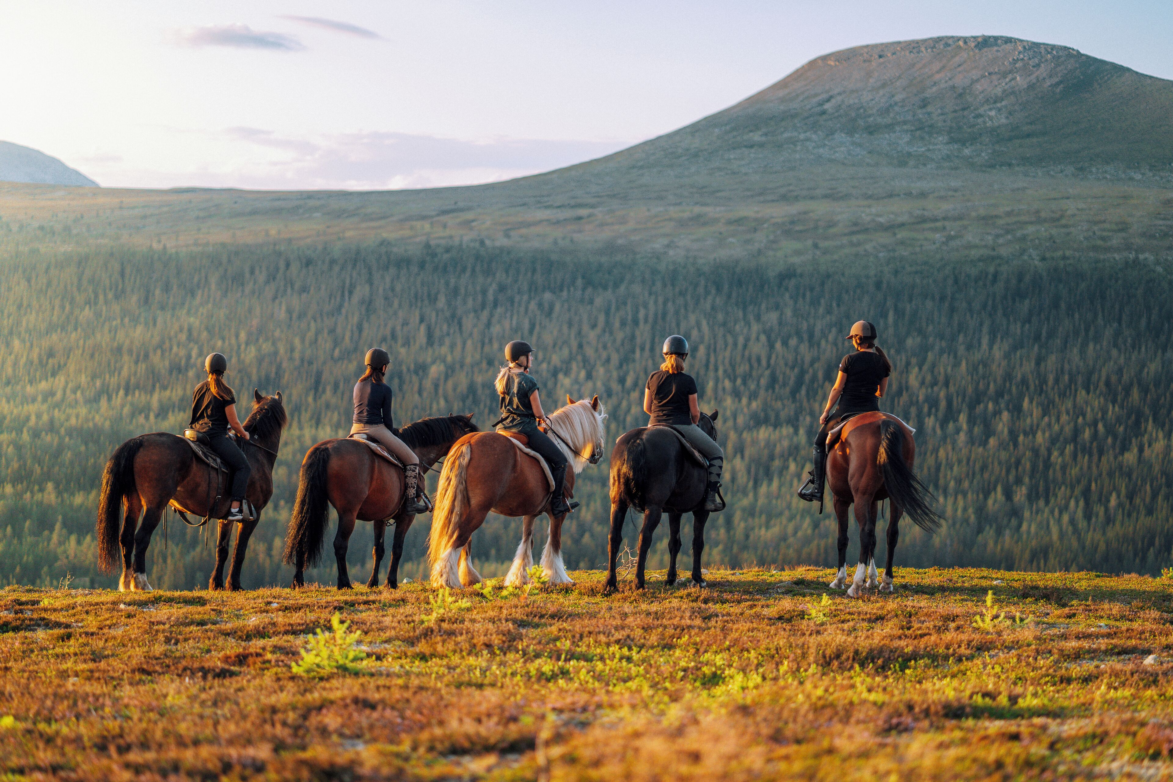 A group of people on horseback in a grassy field with a forested mountain in the background.