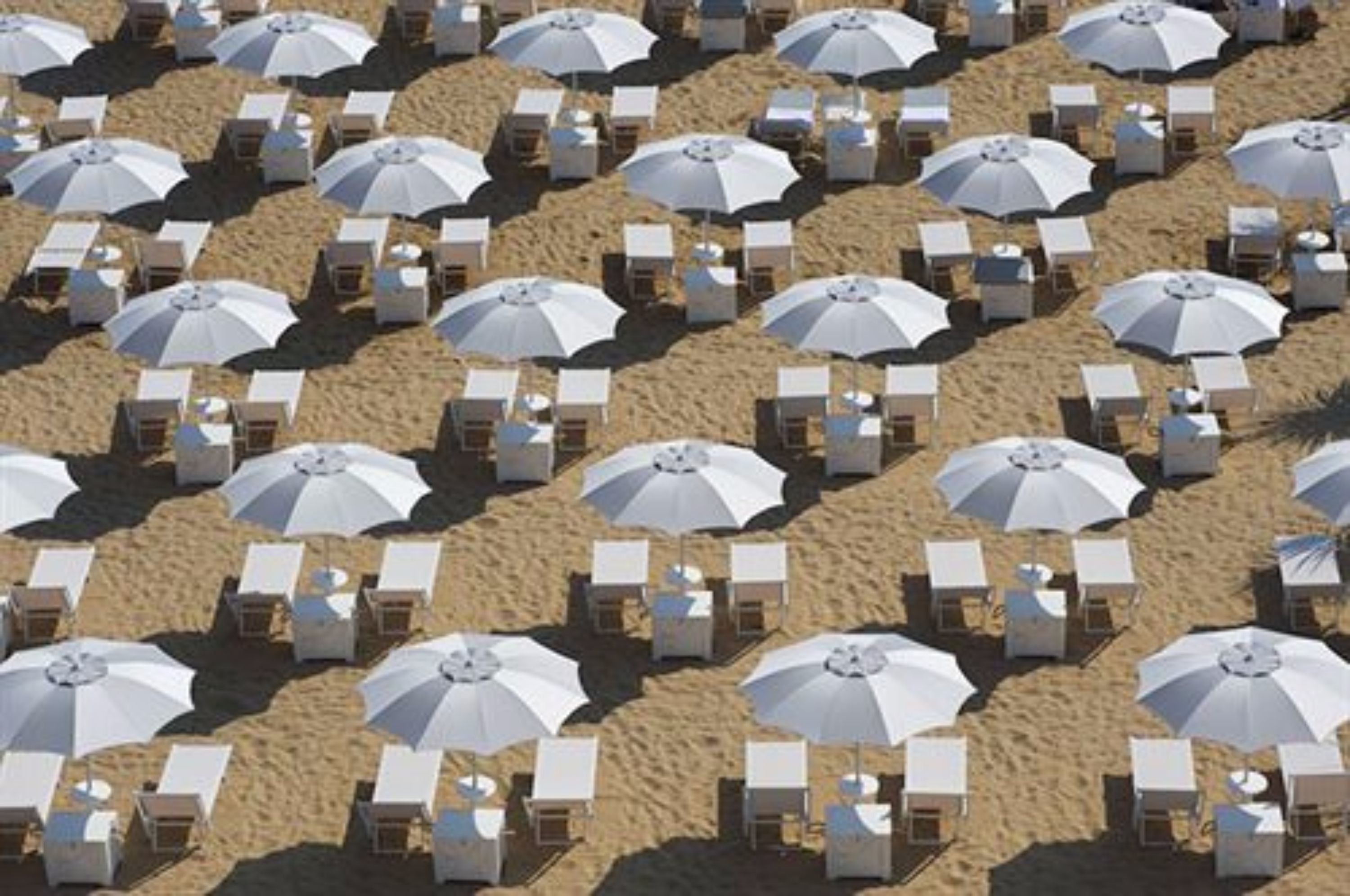 A beach with rows of white umbrellas and beach chairs.