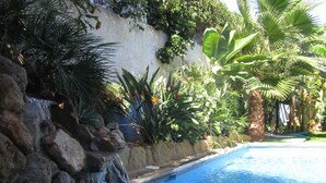 Una piscina amb cascada, envoltada de plantes tropicals i una paret de pedra.
