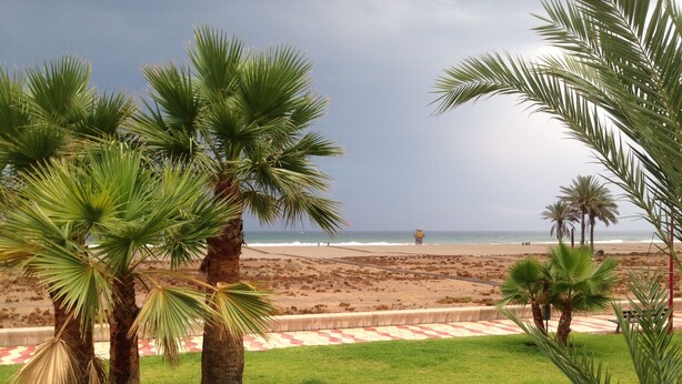 Vistes a la platja, palmeres i una torre de socorristes.