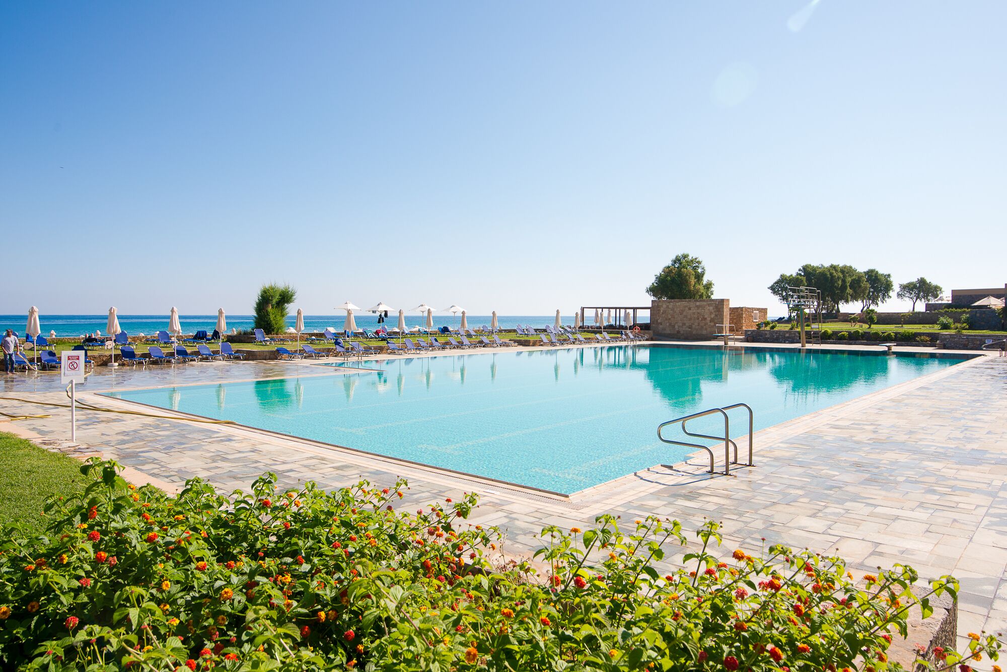 outdoor pool, pool loungers