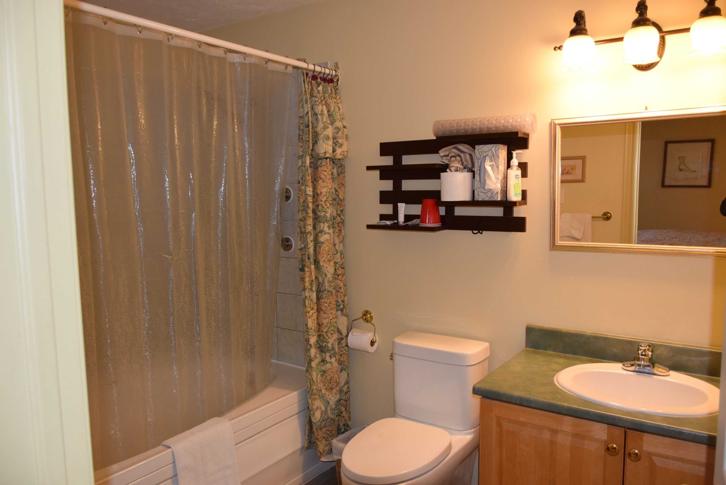 Une salle de bain équipée d’une douche, de toilettes, d’un lavabo et d’un miroir.