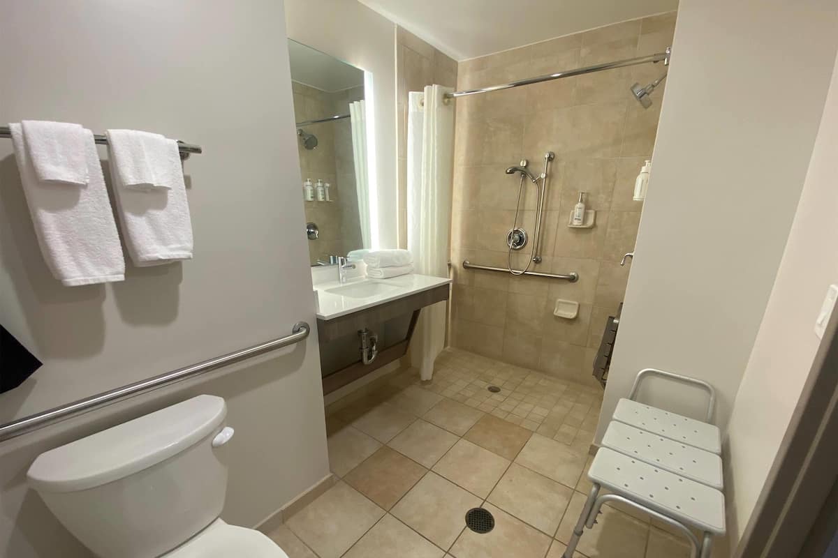 shower, free toiletries, hair dryer, towels