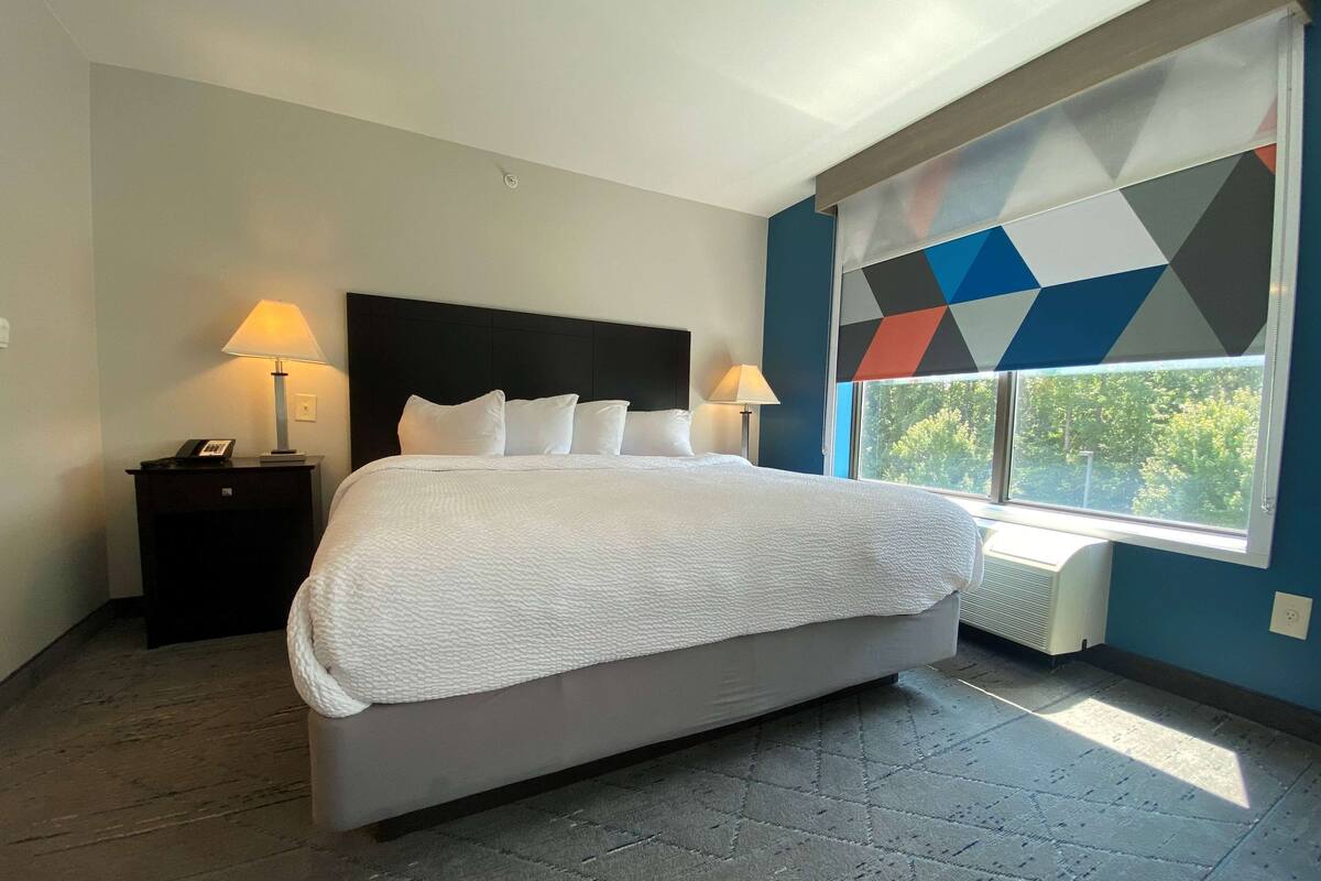 studio suite, 1 king bed, non smoking | 1 bedroom, down duvets, pillow-top beds, in-room safe