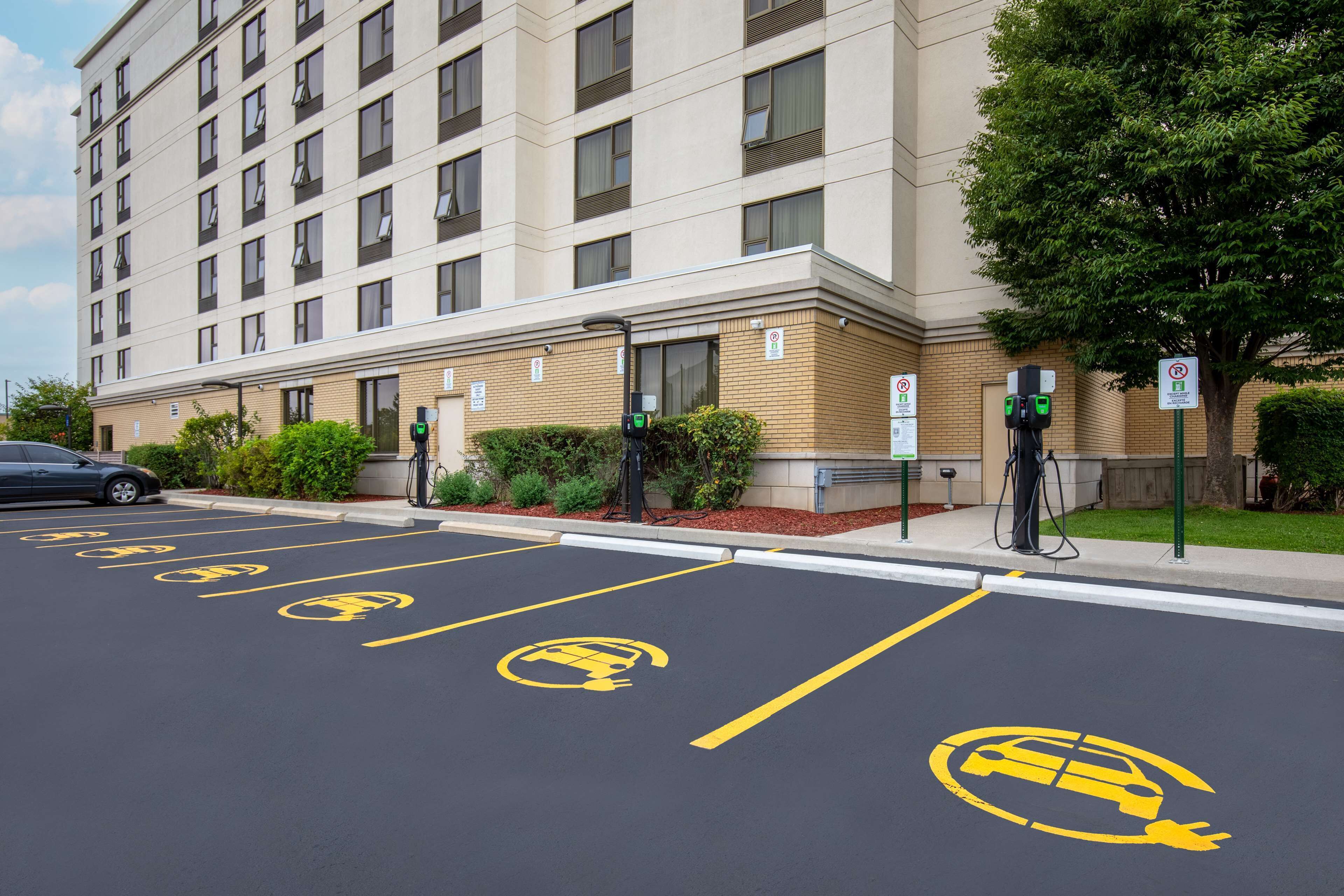Un estacionamiento con estaciones de carga para vehículos eléctricos, un edificio con múltiples ventanas y un árbol.
