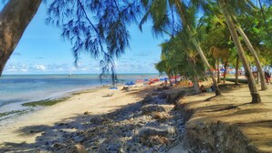 A beach with palm trees, a sandy shore, and a clear blue sky. - Reymar Hotel Maceió (Maceió)
