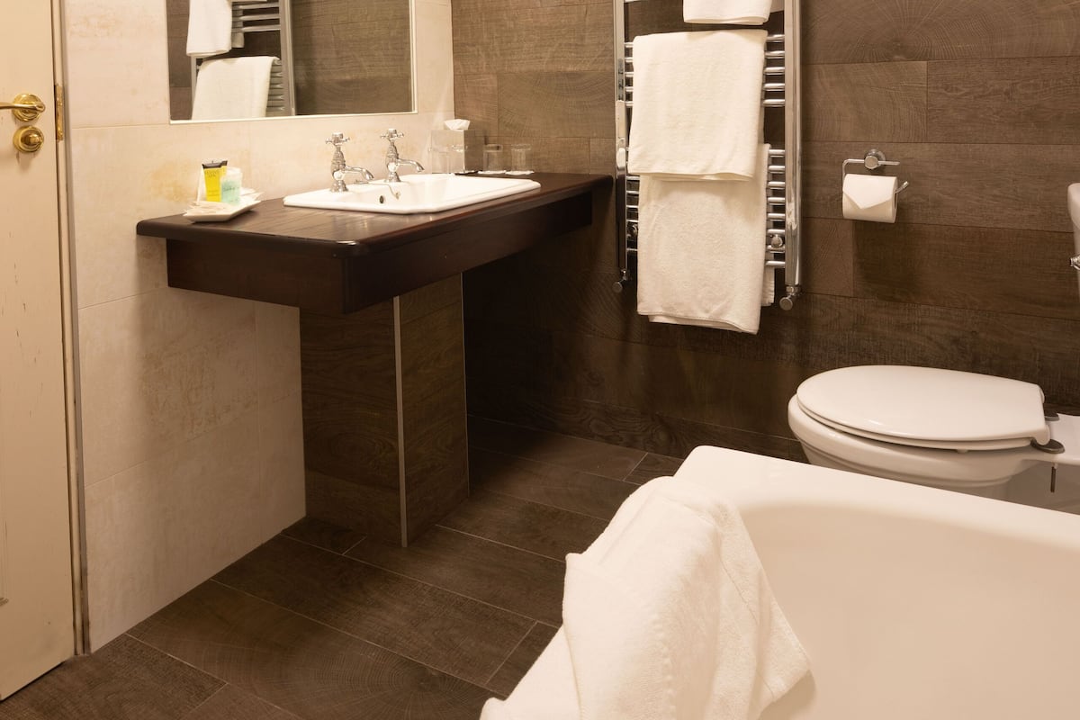 combined shower/bathtub, free toiletries, hair dryer, towels