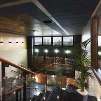 Un interior moderno con escalera, ventanas amplias y plantas de interior.