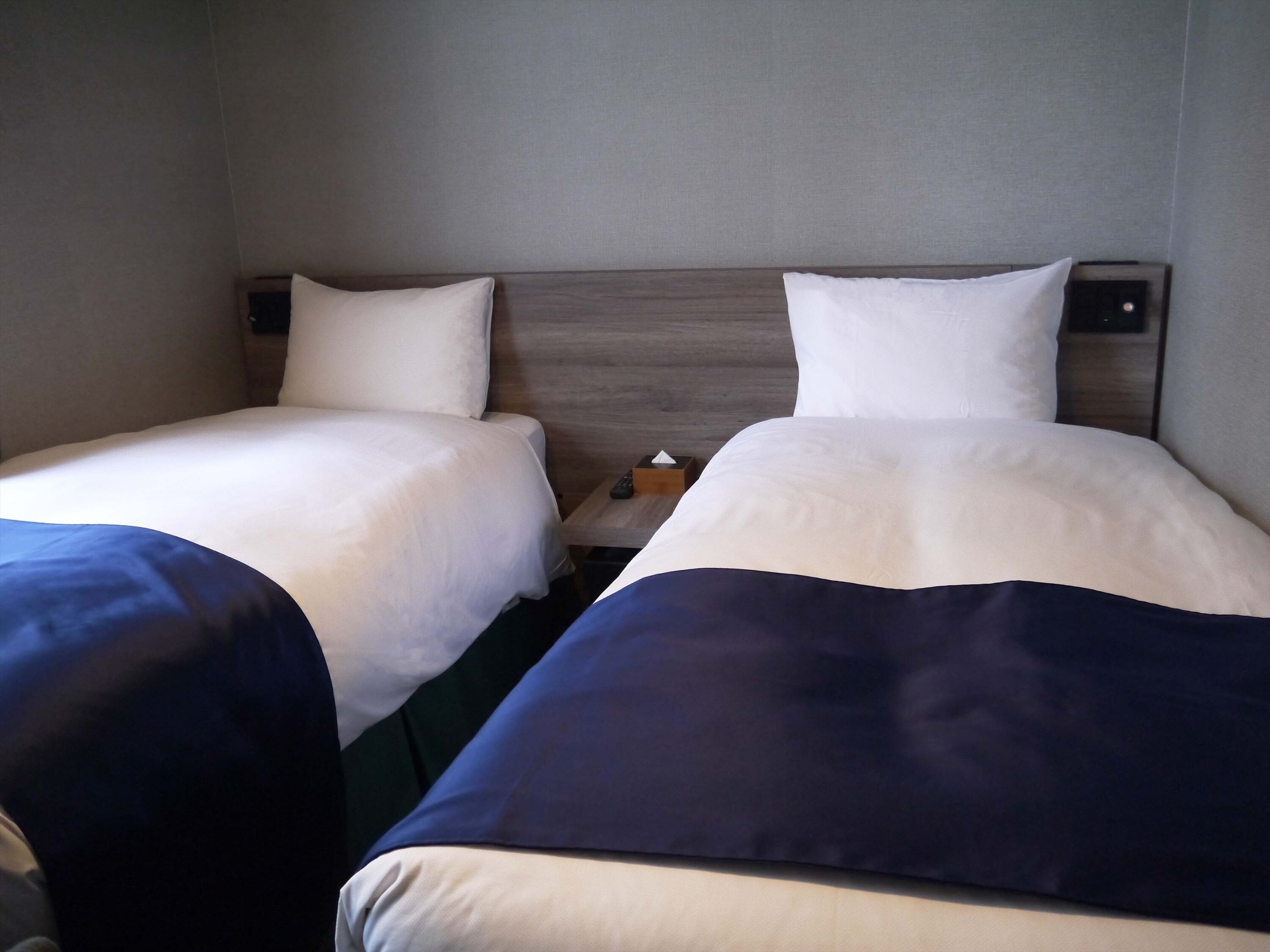 Chambre Confort avec lits jumeaux, 2 lits une place, non-fumeur