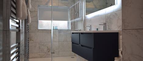 A modern bathroom with a glass-enclosed shower, a toilet, a sink, and a large mirror.
