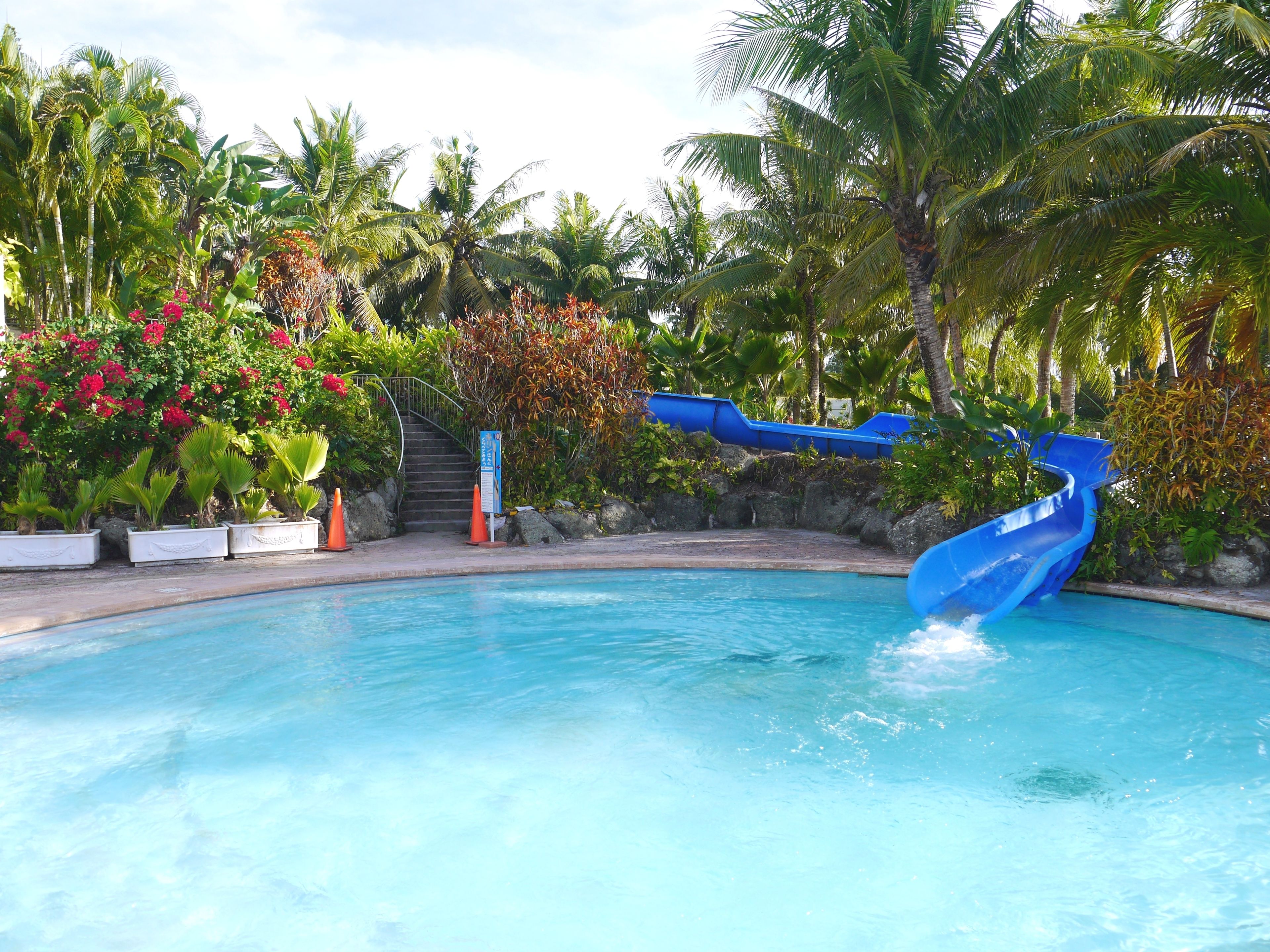Une piscine avec un toboggan à eau bleu, entourée de plantes tropicales et de palmiers.