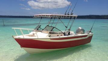 A boat with a cabin and fishing equipment, anchored in clear turquoise water.