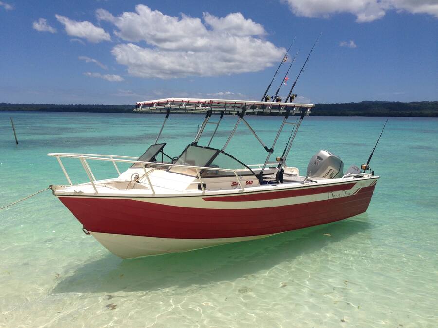 A boat with a cabin and fishing equipment, anchored in clear turquoise water.