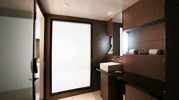 Combined shower/tub, hair dryer, towels