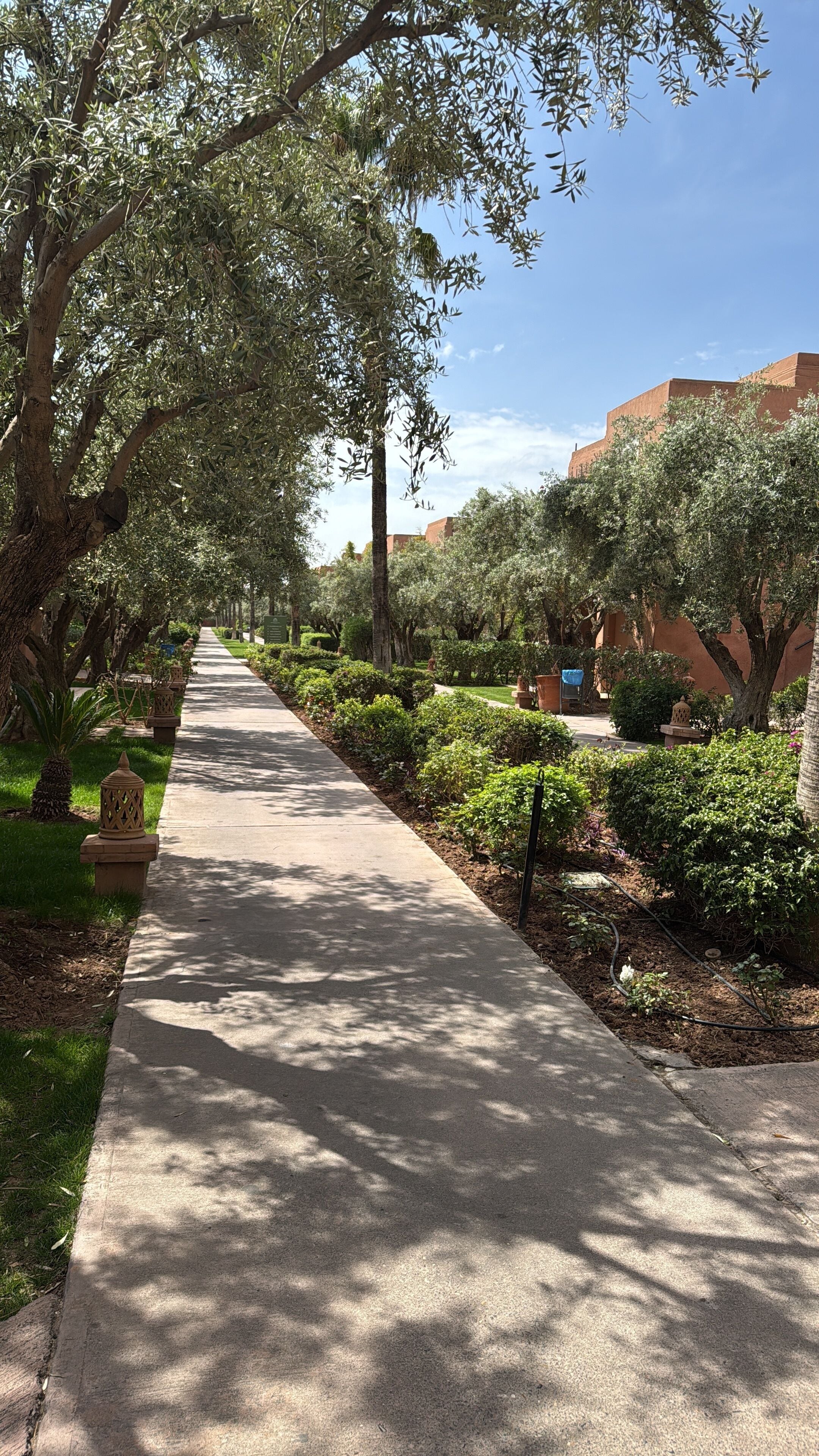 A pathway lined with trees and shrubs, leading to a building with a red facade.