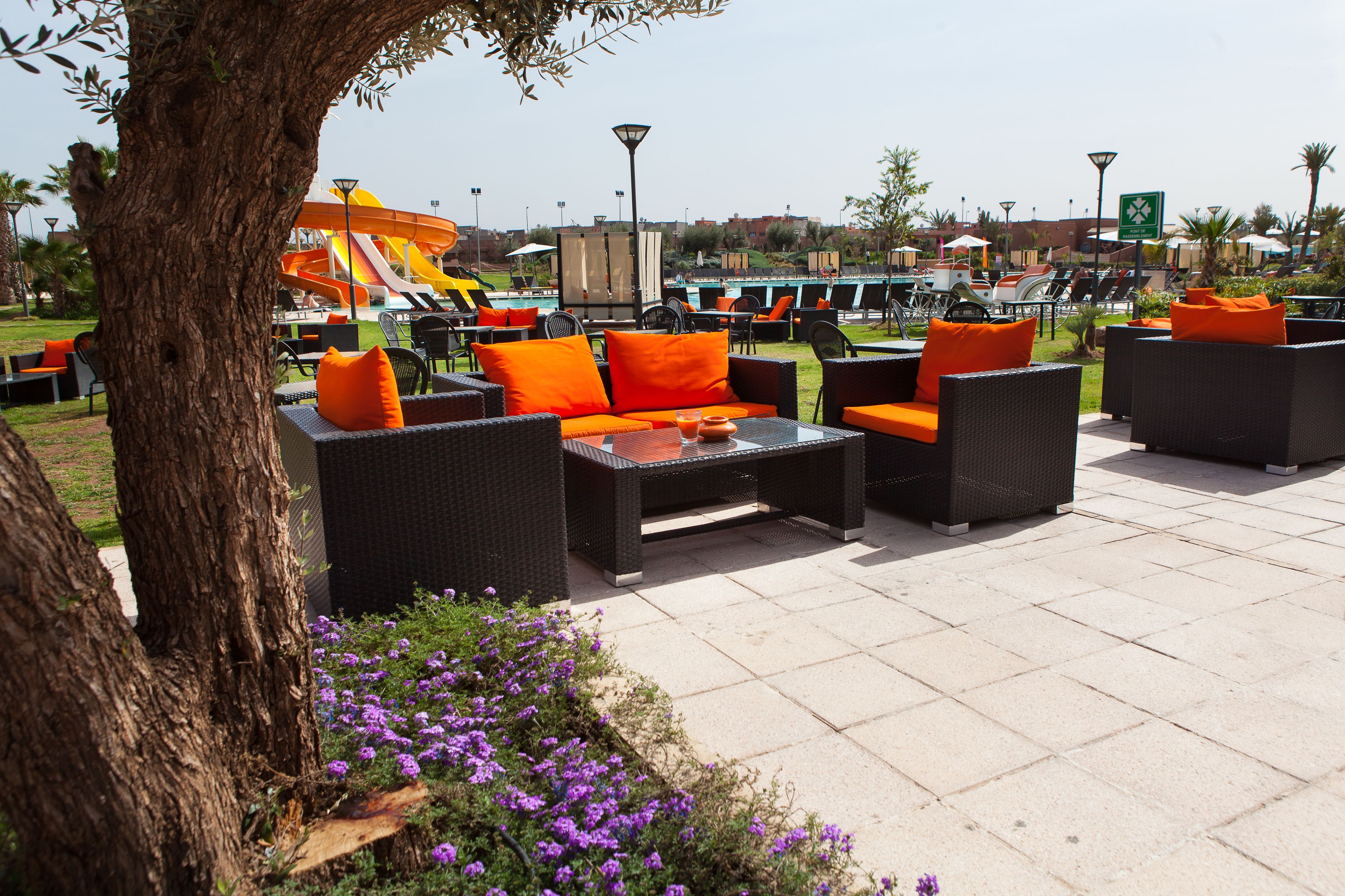Un área de estar al aire libre con mobiliario de mimbre y cojines naranja, un árbol y flores moradas.
