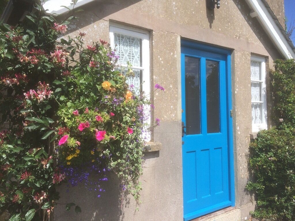 A building with a blue door and a flower box with various flowers.