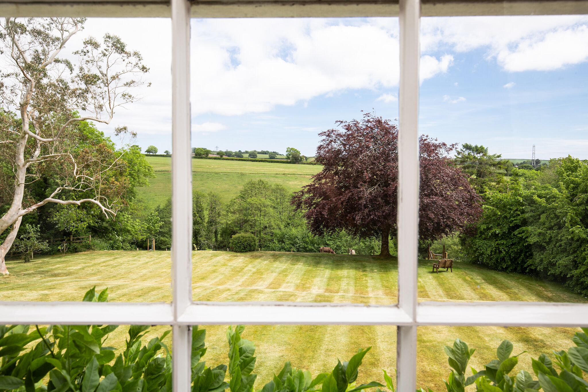Superior Double Room, Ensuite (The Eucalyptus) | View from property
