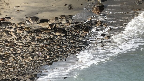 A rocky shoreline with waves crashing onto the sand. - Waterside Guest House (Romney Marsh)