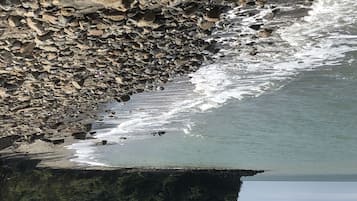 Nära stranden