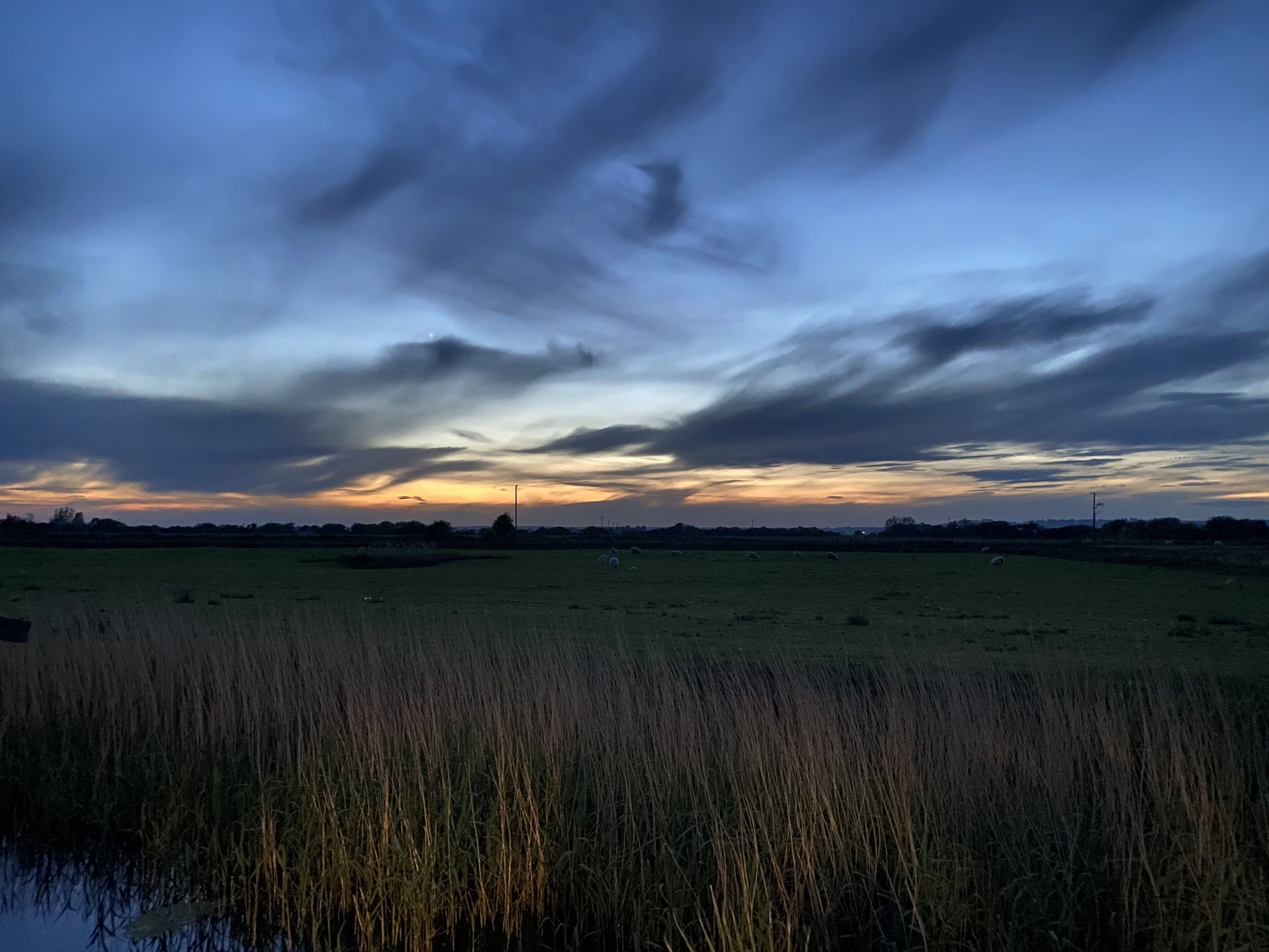 A wide-open field with tall grasses in the foreground and a cloudy sky above.