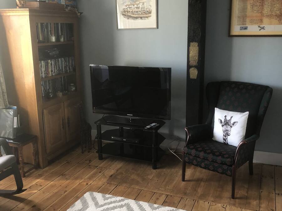 Una sala de estar con piso de madera, un televisor sobre un soporte negro, una estantería, un cuadro en la pared y una alfombra estampada.