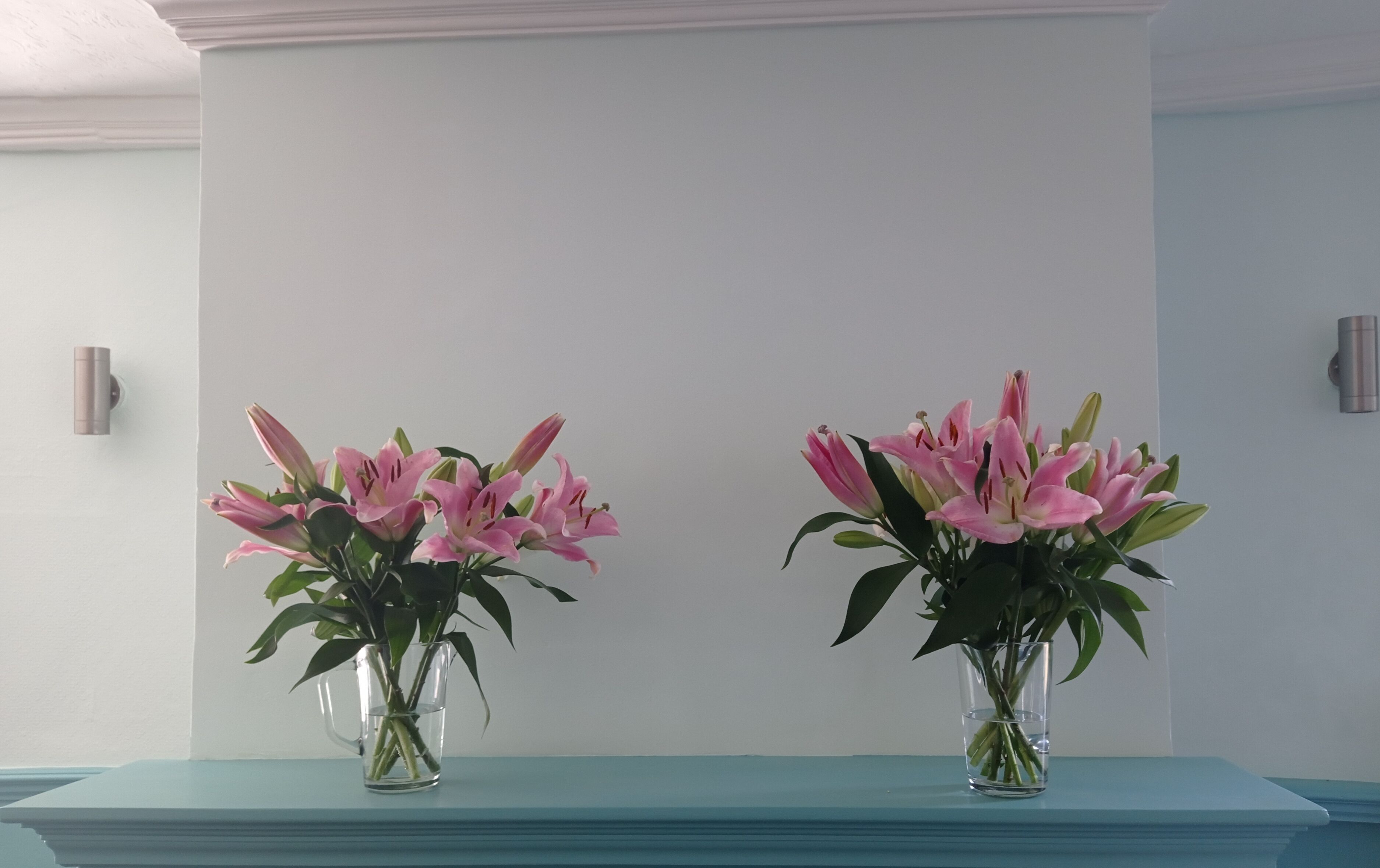 Two clear glass vases with pink flowers on a blue surface against a white wall.