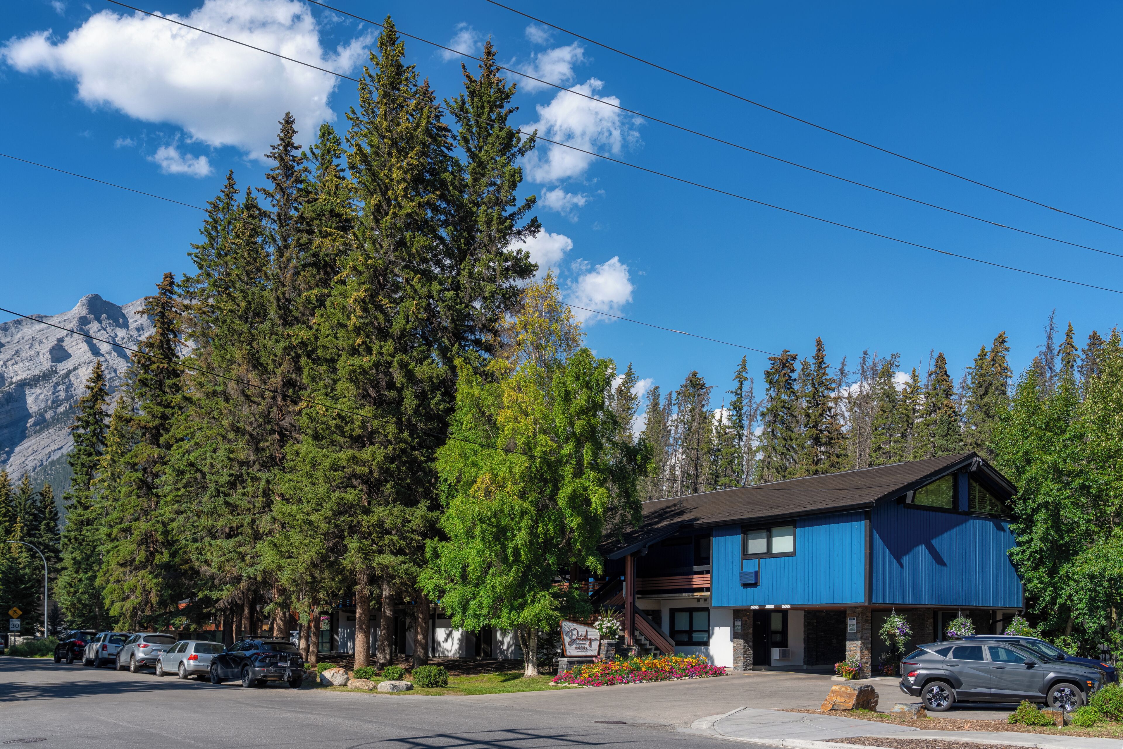 A blue building with a mountain backdrop, surrounded by tall trees and parked cars.