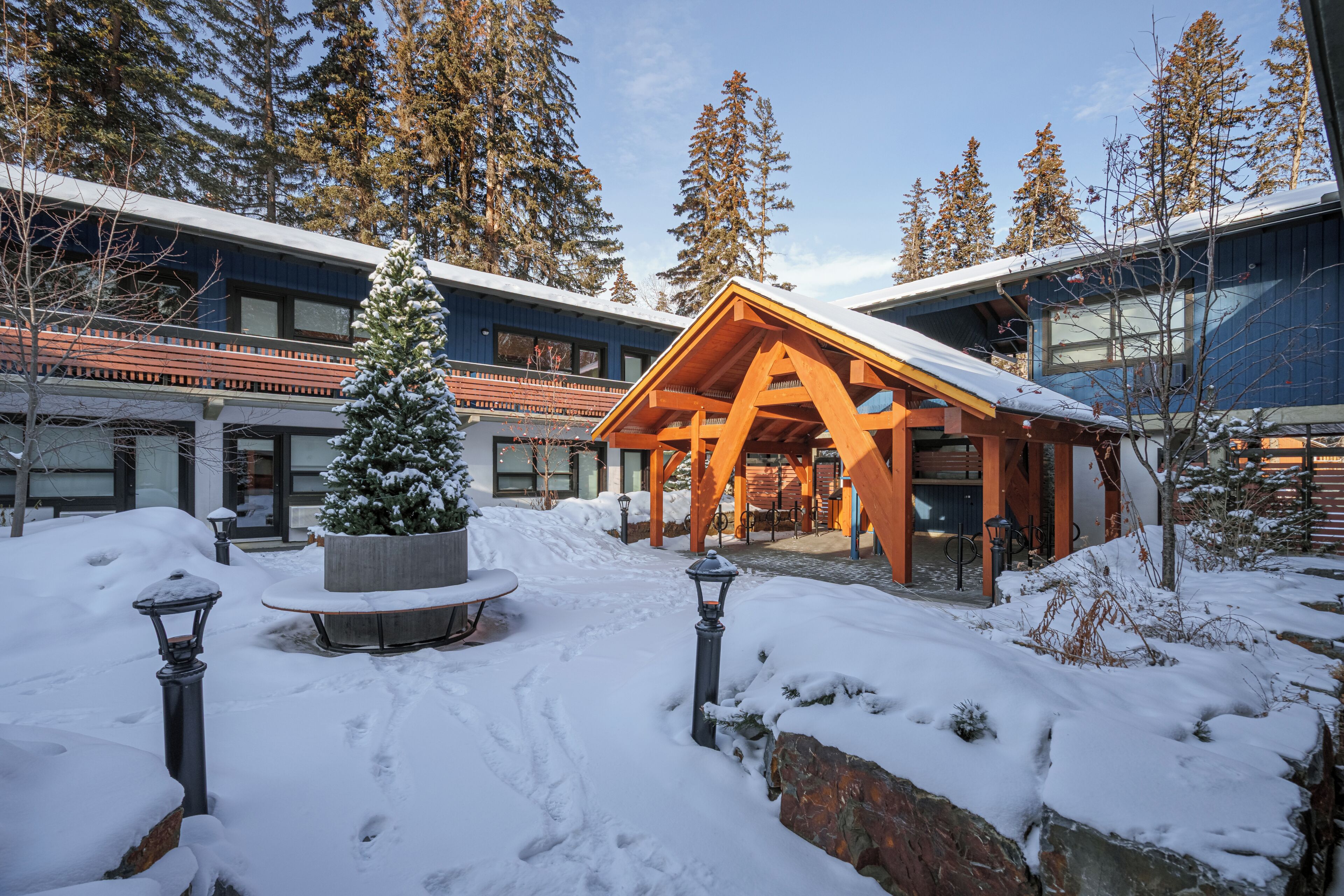 Un espace extérieur enneigé avec un gazebo en bois, des bancs et un sapin de Noël recouvert de neige.