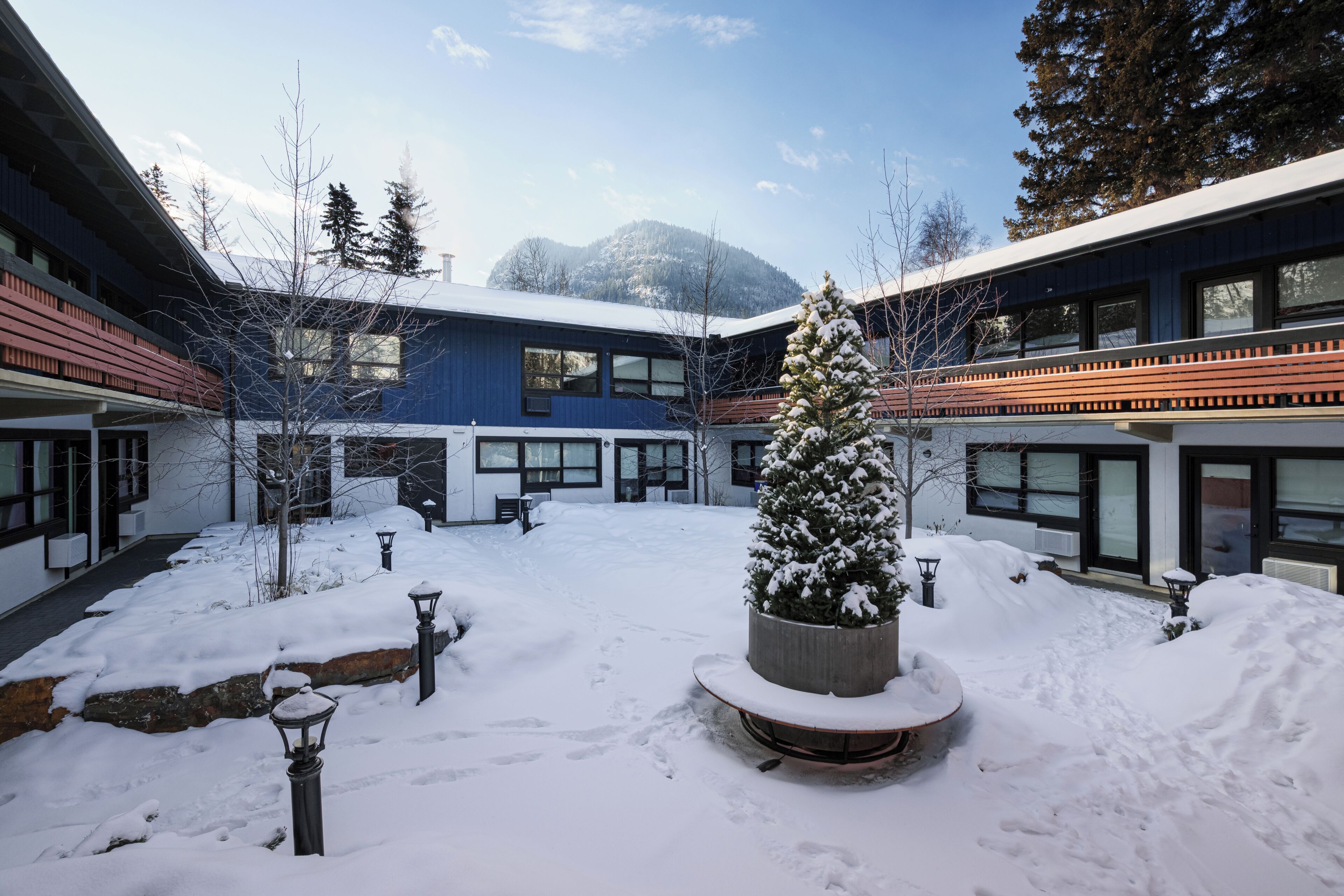 A snow-covered courtyard with buildings, a snow-covered tree, and a stone lantern.