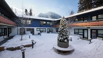 A snow-covered courtyard with buildings, a snow-covered tree, and a stone lantern.