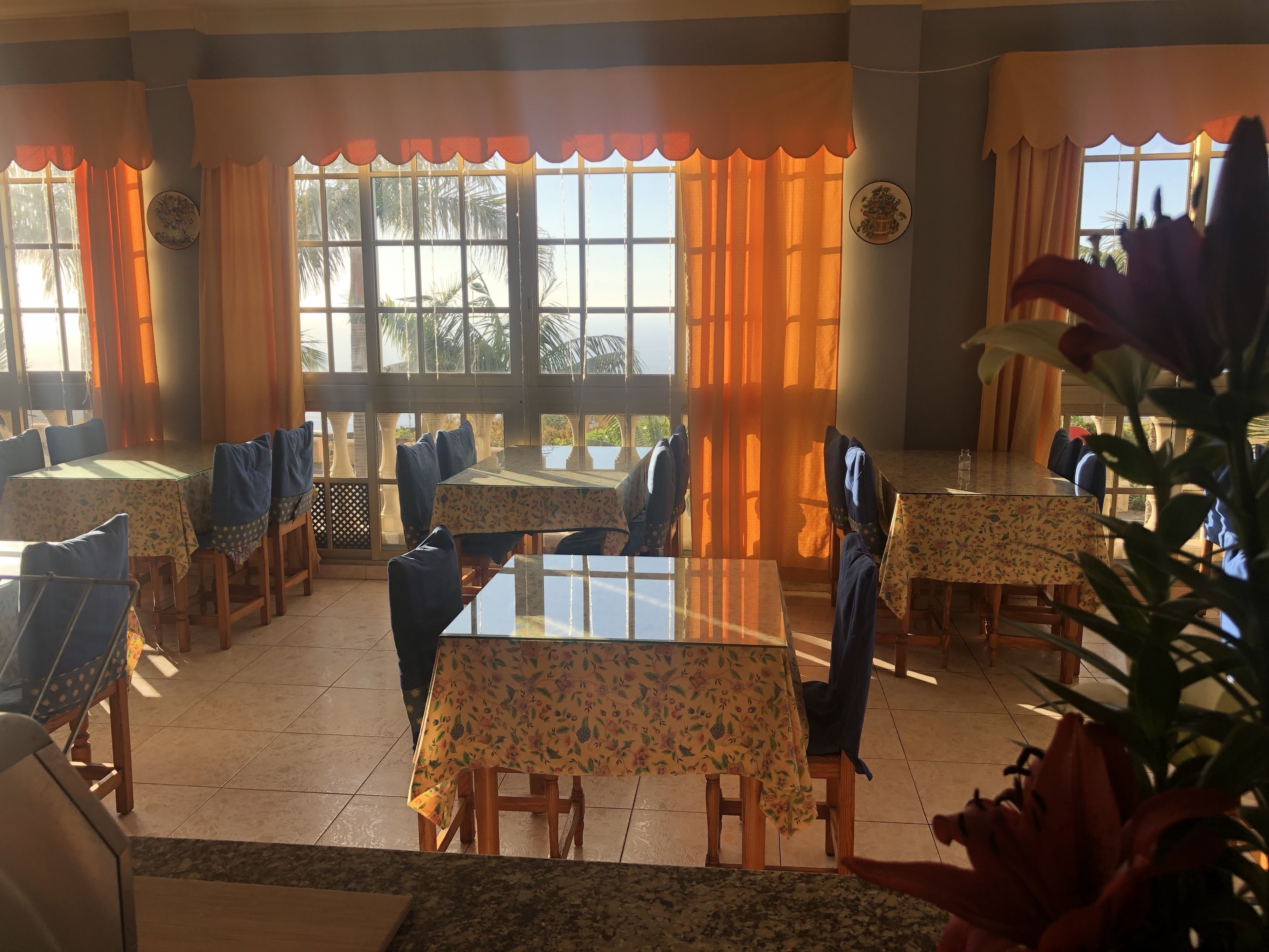 A dining area with multiple tables and chairs, large windows with curtains, and a view of palm trees outside.
