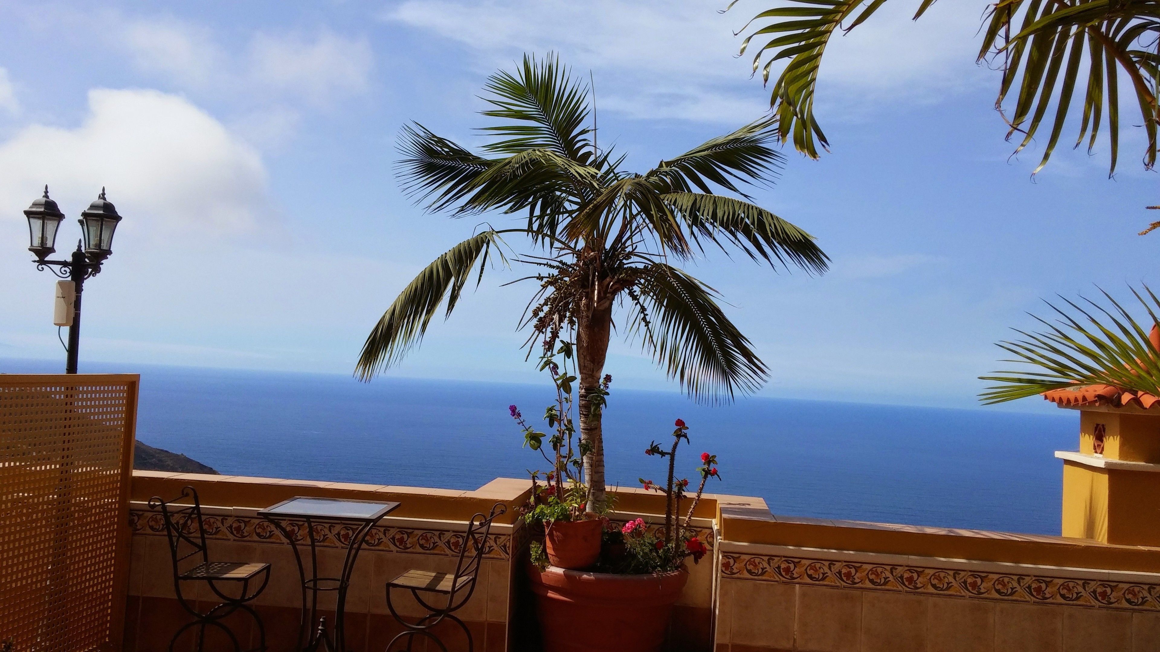 Un balcón con una palmera, una mesa y sillas, con vista al océano.