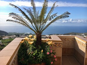 Enjoy the serene coastal views from this balcony, surrounded by lush greenery and a decorative tile pattern.