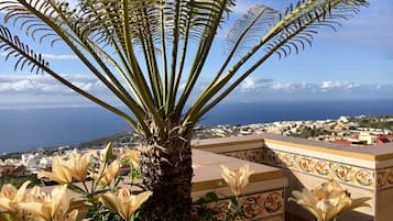 Studio, 1 très grand lit, terrasse, vue mer | Vue de la chambre