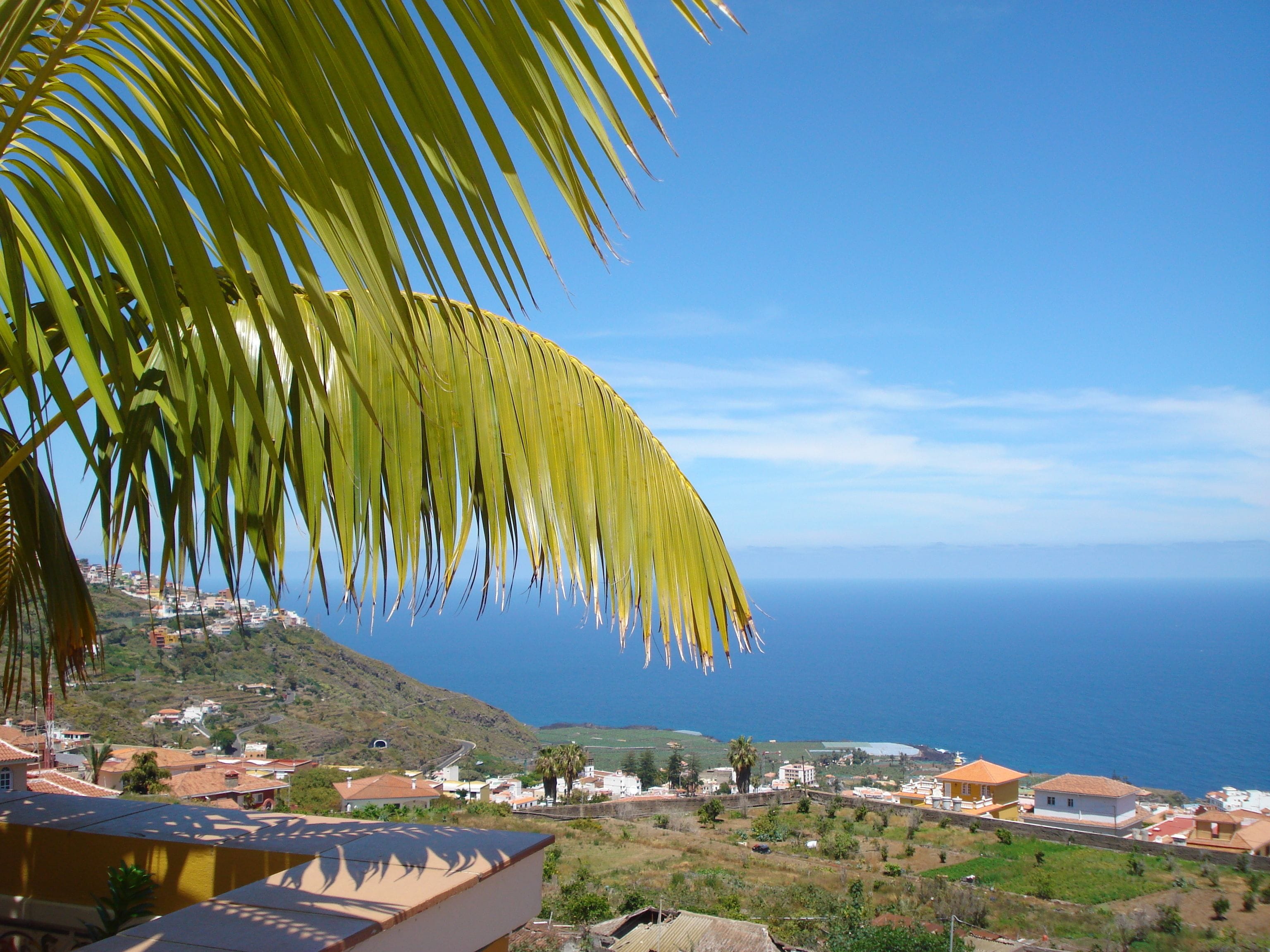 Photo - Apartamentos Estrella Del Norte