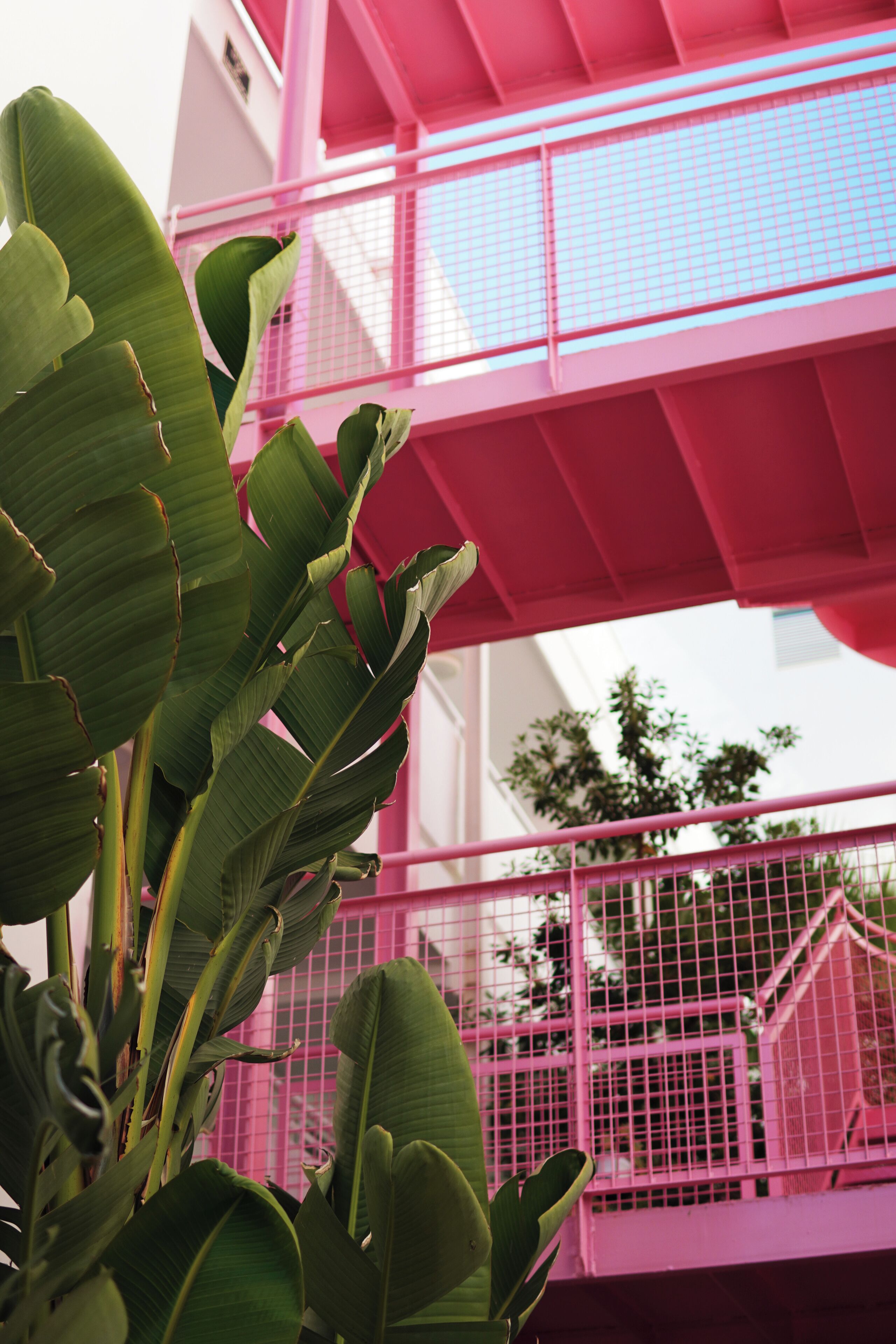 A pink building with a balcony and a plant in the foreground.