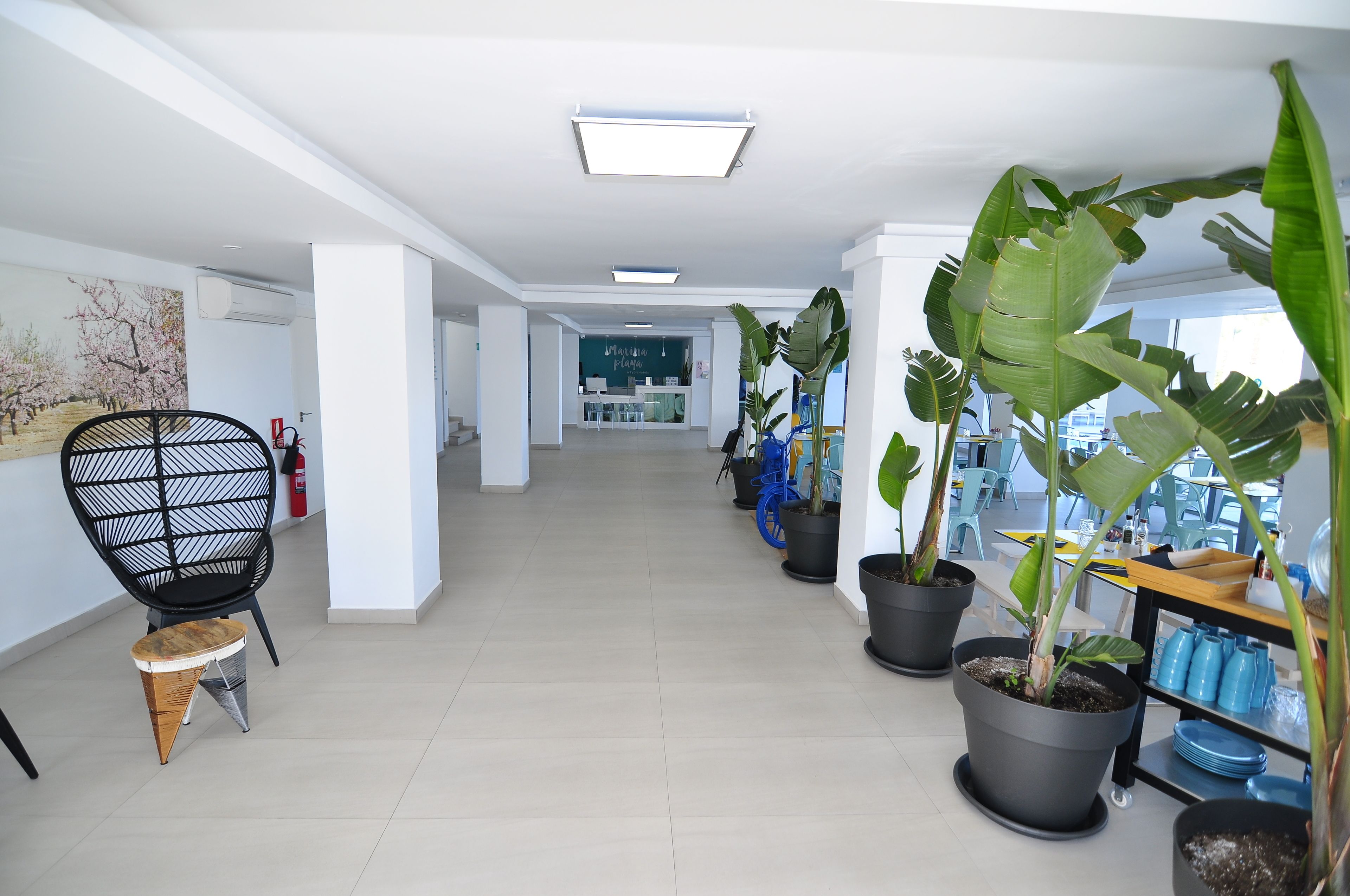 Un interior moderno con un largo pasillo, plantas en macetas, una silla de alambre negra y un taburete pequeño.