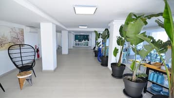 Un interior moderno con un largo pasillo, plantas en macetas, una silla de alambre negra y un taburete pequeño.