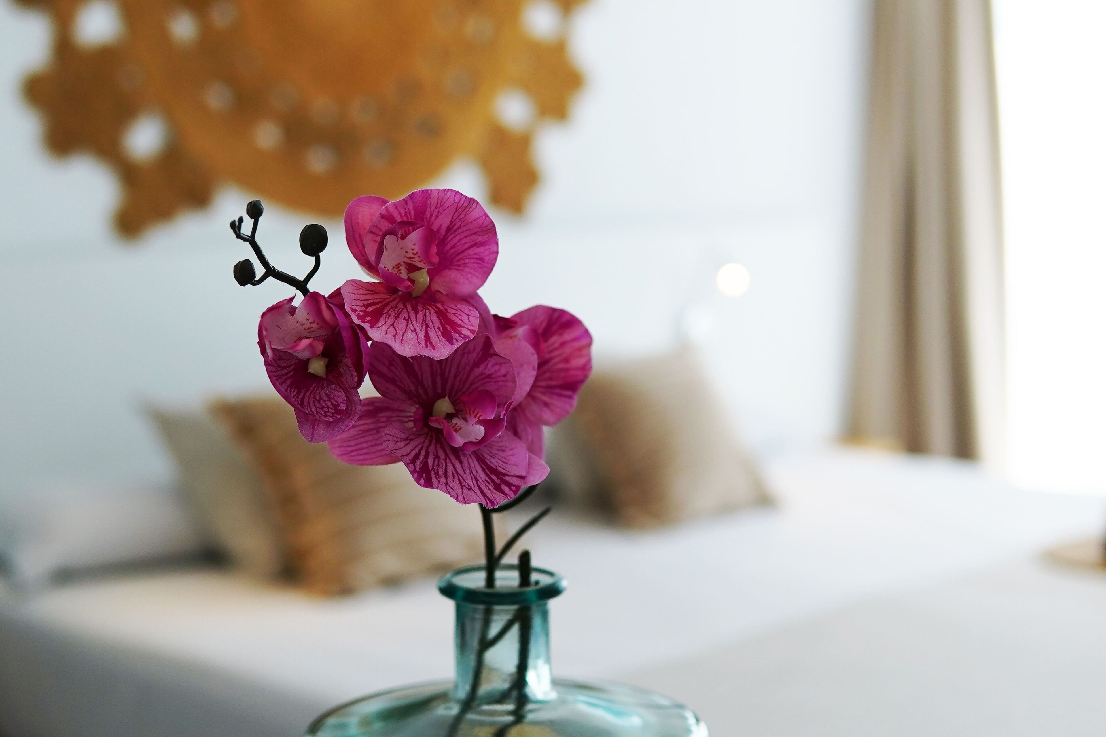 A close-up of a pink orchid in a clear glass vase on a white surface.