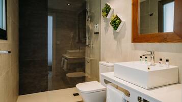 A modern bathroom with a glass-enclosed shower, a white sink, and a toilet.