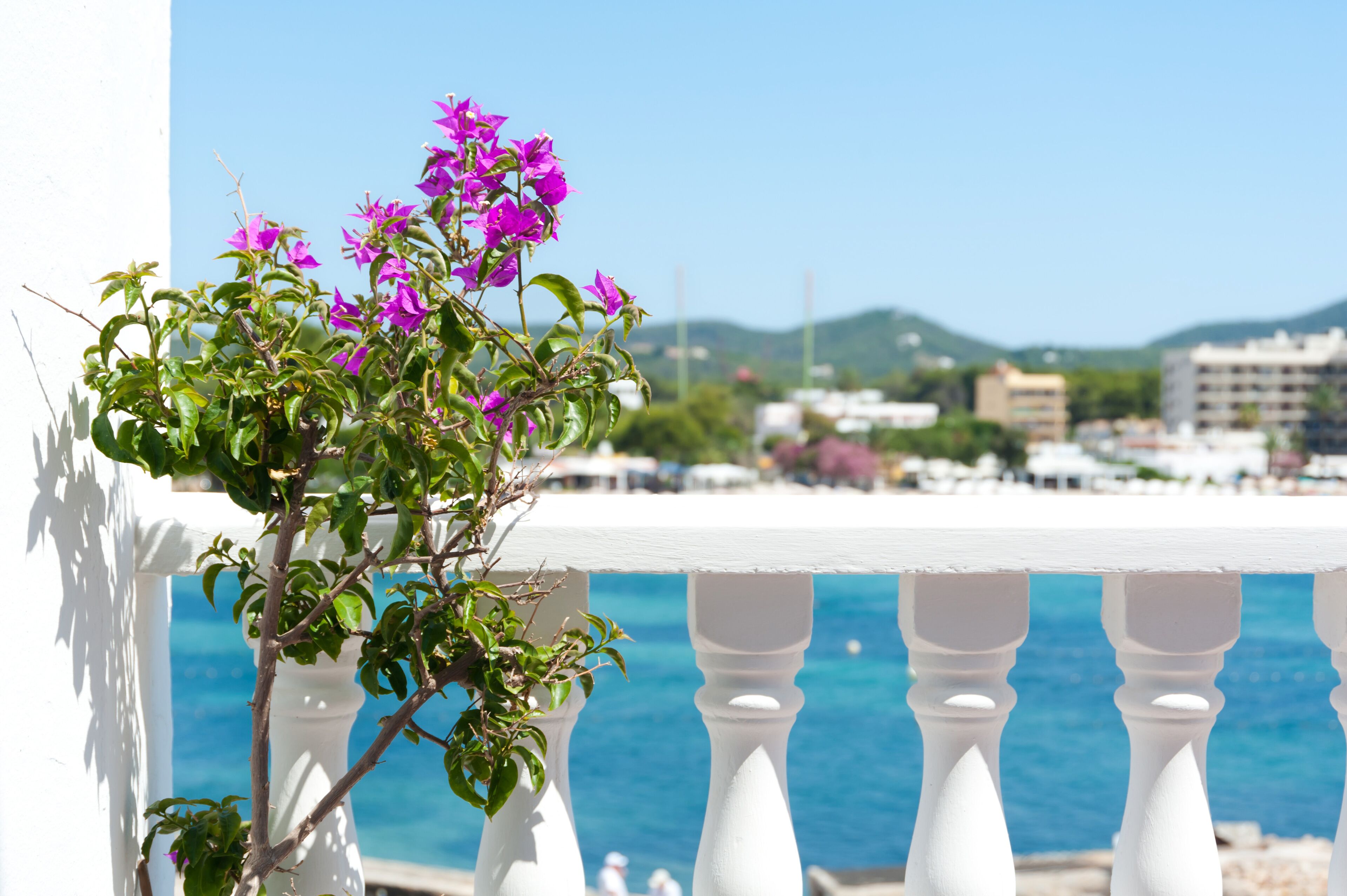 standard double room, balcony | pillow-top beds, minibar, in-room safe, individually decorated