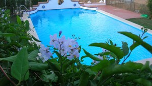 Outdoor pool, pool loungers - Vega de Cazalla (Cazalla De La Sierra)