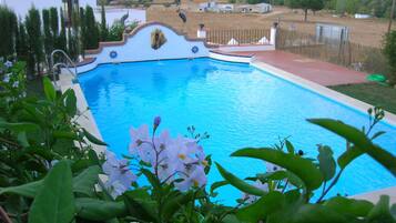 Outdoor pool, sun loungers
