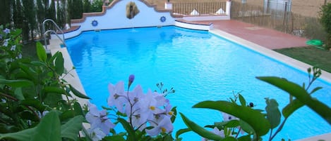 Outdoor pool, pool loungers