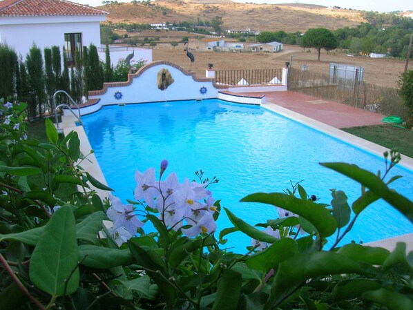 Outdoor pool, pool loungers