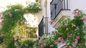 Property entrance - Vega de Cazalla (Cazalla De La Sierra)